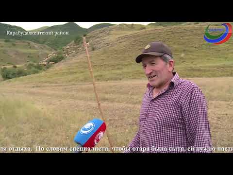 Видео: «Адамти ва замана»