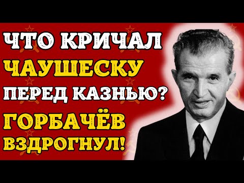 Видео: Почему одна видеозапись в рождественскую ночь стоила Горбачёву спокойной старости?