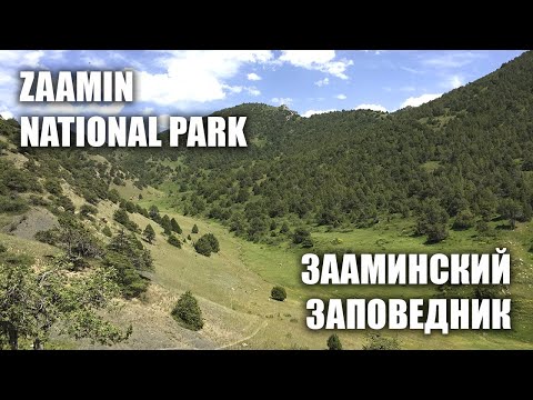 Видео: Uzbekistan: Zaamin National Park / Зааминский Заповедник