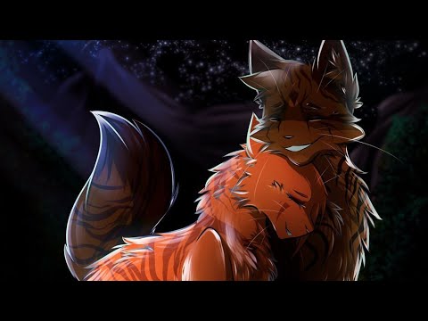 Видео: •[Коты~Воители] {Белка и Ежевика} Зависай |заказ с канала Нøчь кв|•