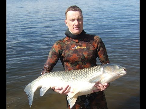 Видео: Подводная охота на Волге: обсуждаем сезон 2018 с Дмитрием Васильковым