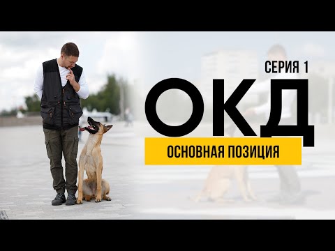 Видео: ОКД. Основная позиция. Серия 1