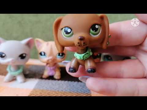 Видео: LPA:TAG"Аксессуары "+коллекция лпс