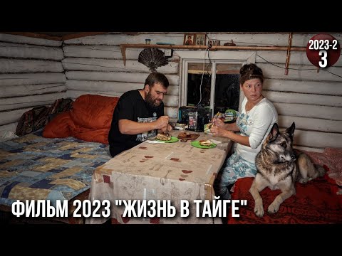 Видео: Уехали с женой жить в тайгу Приполярного Урала. Закрываем крышу, наводим порядок, ловим рыбу. 3с