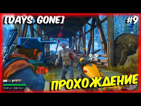 Видео: Days Gone ◉ Жизнь после ◉ Прохождение 9