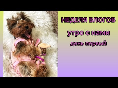 Видео: НЕДЕЛЯ ВЛОГОВ: НАШЕ УТРО | ДЕНЬ ПЕРВЫЙ