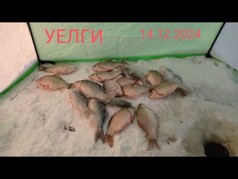 Видео: УЕЛГИ- ПОЛНОЛУНИЕ 14.12.2024
