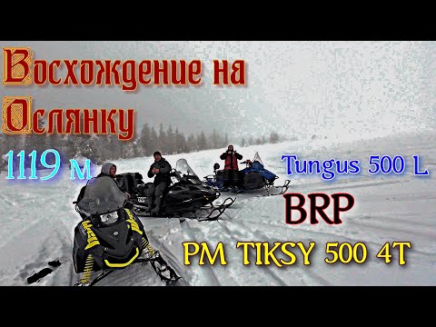Видео: Ослянка - покорение горы! База Рассольный