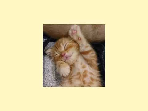 Видео: мало так мало - егор крид // speed up