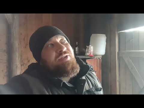 Видео: Дела в деревне// размышляю о царе Николае II