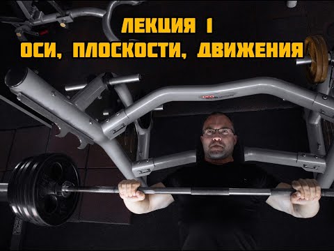 Видео: Оси, плоскости, движения