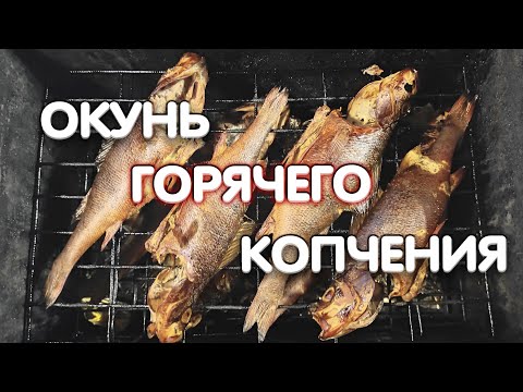 Видео: Окунь горячего копчения. Как это готовит Дядя Фёдор.