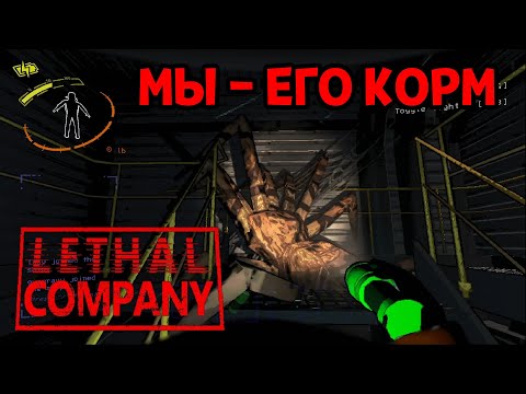 Видео: ПЕРВЫЙ ВЗГЛЯД ( Lethal Company )