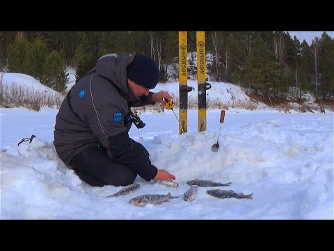 Видео: НЕ МОГУ ИХ ДОСТАТЬ!!!ХАРИУС СО ЛЬДА ВЕСНОЙ