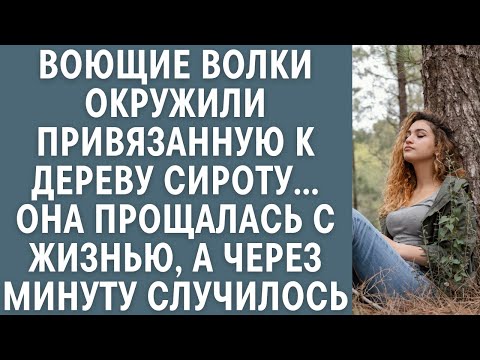 Видео: Воющие волки окружили привязанную к дереву сироту… Детдомовка прощалась с жизнью, а через минуту…