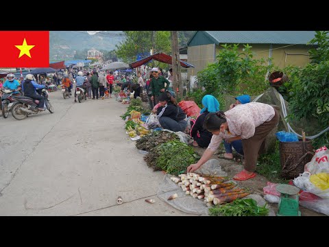 Видео: Исследуем высокогорный рынок Лунгван во Вьетнаме — что особенного в каждый рыночный день?