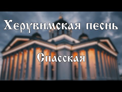 Видео: Херувимская песнь (Спасская) | хор Воскресенского собора г. Арзамас