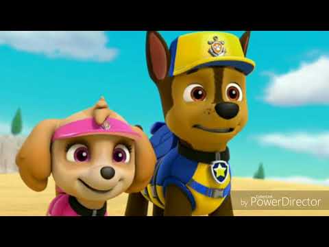 Видео: 💗Гонщик и Скай💗