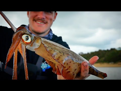 Видео: Как ловить кальмаров — рыбалка с причала