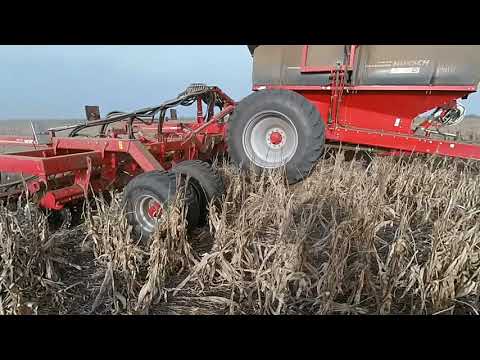 Видео: Выращивание гороха. No-till 18.04.2018 г. Посев гороха и неожиданная проблема