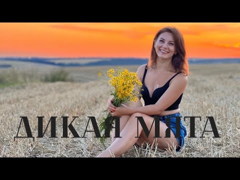 Видео: Дикая мята