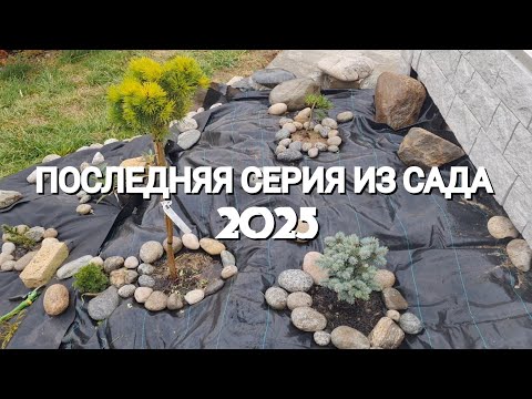 Видео: ПОСЛЕДНЯЯ СЕРИЯ СЕЗОНА 2025 Г.