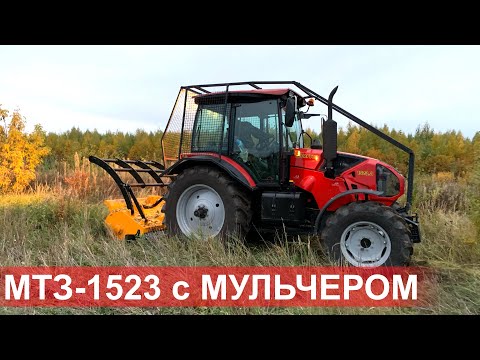Видео: Трактор Беларус-1523.3 с лесотехническим мульчером SERRAT FX-T2000, расчистка участка от ДКР