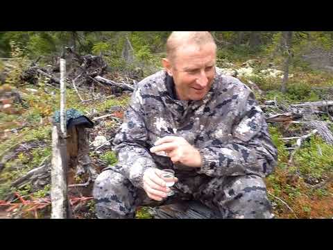 Видео: Начало осеннего сезона.