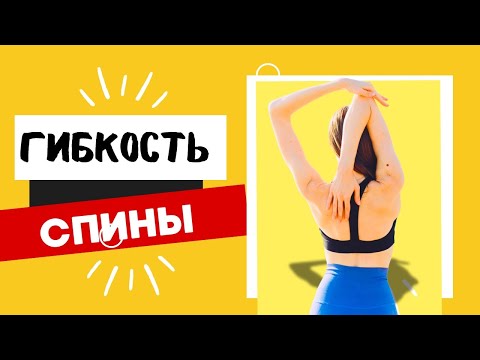 Видео: Практическая часть. Гибкость спины.
