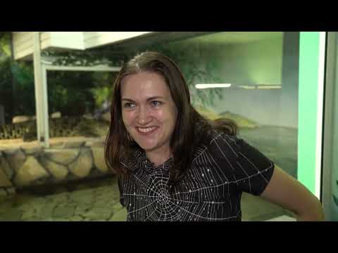 Видео: ЗООПАРК С ХАРАКТЕРОМ