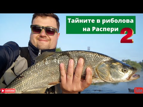 Видео: Съвети за успешен риболов на Распери!