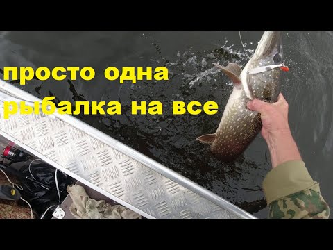 Видео: Просто одна рыбалка на все