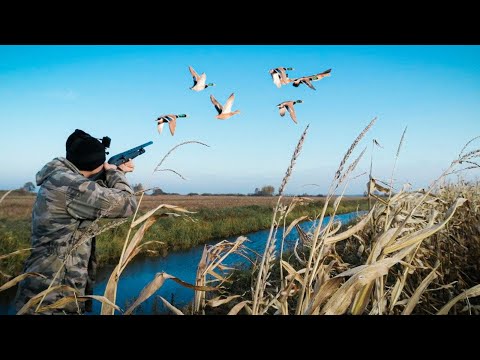 Видео: ОХОТА НА УТКУ С ПОДХОДА. ДОБЫЛ ЛИСУ. Стреляем только селезней.