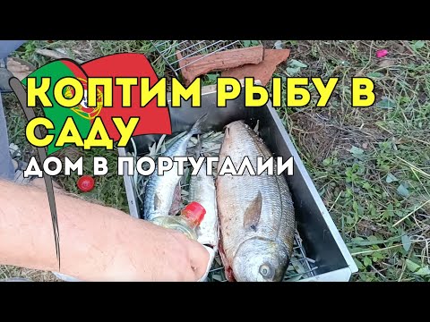 Видео: Коптим рыбу на оливковых ветках в саду! 🔥🐟