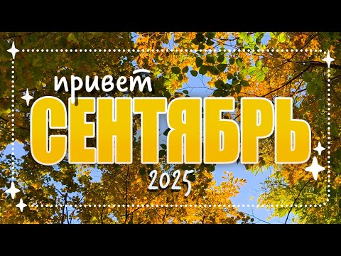 Видео: ✦ живу как могу целый СЕНТЯБРЬ ✦ белки, листочки и хендмейд ✦