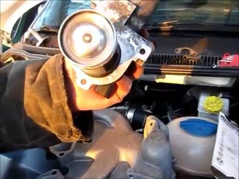 Видео: очистка впускного коллектора VW T5 дешево