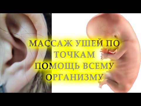 Видео: Массаж ушей по точкам, помощь всему организму!!!
