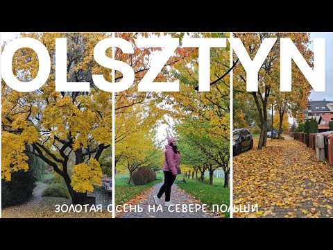 Видео: Так красиво, что не передать словами 🍁 Осенний Ольштын в золоте!