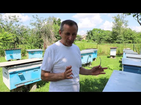 Видео: Летние работы на пасеке | Обычные будни матковода