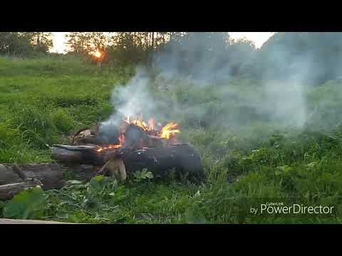 Видео: Рыбалка на озере Отрадное