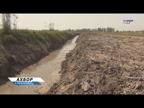 Видео: Обёрӣ ва ҳосилхез намудани заминҳои кишт дар ноҳияи Кӯшониён