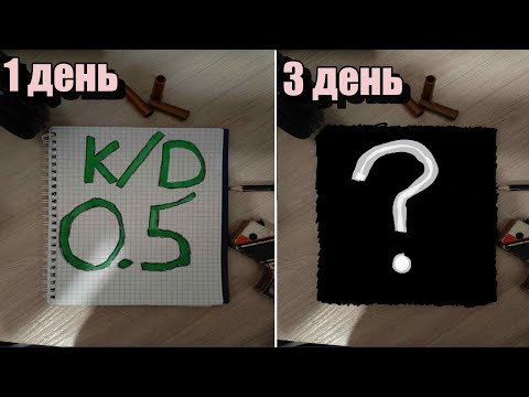 Видео: Как изменится мой скилл за 3 дня игры в ксс