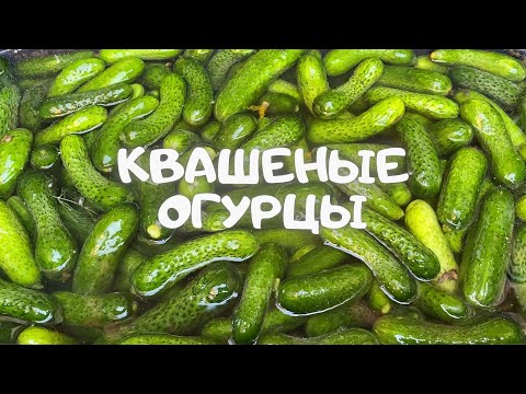 Видео: КВАШЕНЫЕ ОГУРЦЫ КАК ИЗ БОЧКИ
