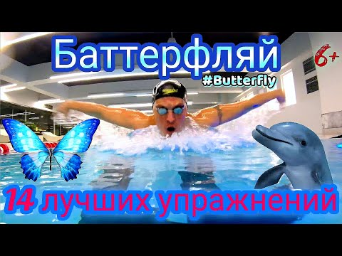 Видео: БАТТЕРФЛЯЙ, 14 ЛУЧШИХ УПРАЖНЕНИЙ #плавание #swimming #butterfly