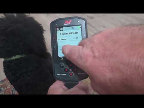 Видео: Программа поиска монет Minelab Manticore USA...Странный парень в парке.