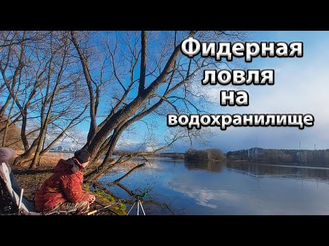 Видео: Фидерная ловля на водохранилище. Весенняя рыбалка с фидером в Беларуси. Ловля леща на водохранилище.