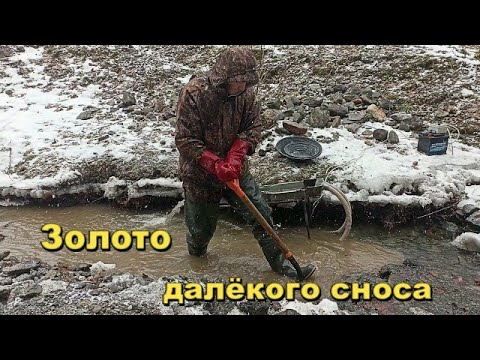 Видео: Сезонное золото