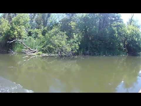 Видео: река Северский  Донец  , Щурово 2024