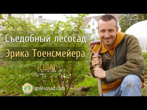 Видео: СЪЕДОБНЫЙ ЛЕСОСАД ЭРИКА ТОЕНСМЕЙЕРА (США)