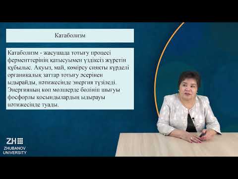 Видео: ИзимоваР Микробиология және вирусология негіздері №5дәріс Микроорганизмдер метаболизмі